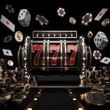 569 bet